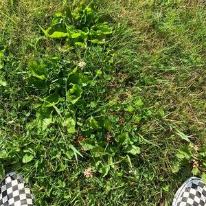 Meet your Posher, Audrey